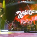 Whitesnake