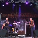 Gin Blossoms