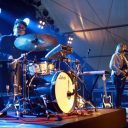 Wye Oak