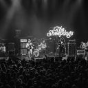 The Sheepdogs