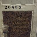 Catherine Collard