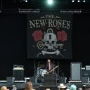 The New Roses