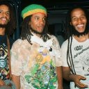 Ziggy Marley and the Melody Makers