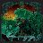 Mastodon - Bandcamp logo